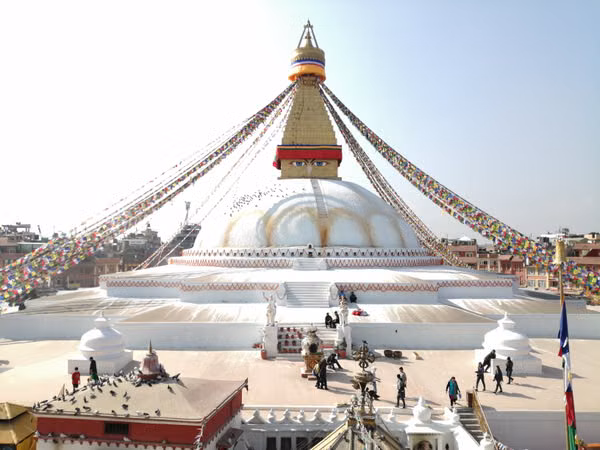 Nitrile Gloves — 3